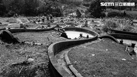 掃墓(記者陳弋攝影)