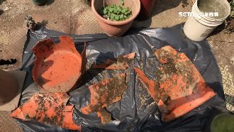 高雄桶屍地堆滿垃圾　里長曝發現關鍵