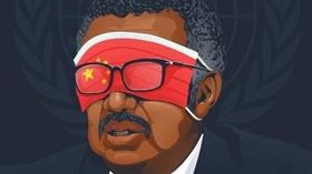 瑞典議員酸譚德塞舔共（圖／翻攝自@weimers推特）