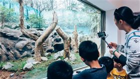 新竹動物園（新竹市政府提供）