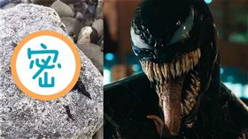 有網友認定那就是真的「猛毒」共生體。（圖／劇照）