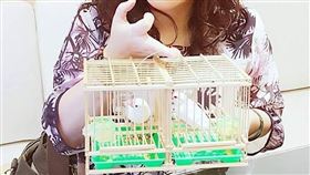 資深鳥卦師王馨怡（圖／翻攝自王馨怡臉書）