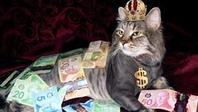 生肖；財運；發財（圖／翻攝自pixabay）