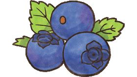 名家專用／毛起來MAOUP（勿用）