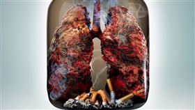 董氏基金會 約翰霍普金斯網站