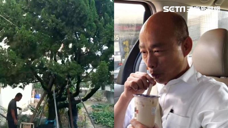 獨／韓國瑜結局？命理師：龍氣洩天機