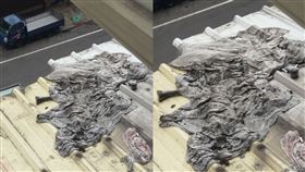 靈異,骨頭,屋頂,人骨,豬骨,撿骨師,冰箱,半夜