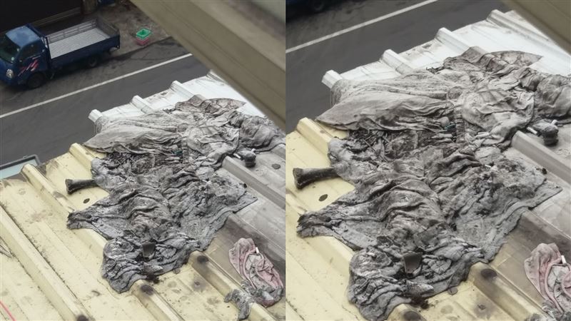 租屋驚見屋頂躺骨頭　法醫1句她崩潰