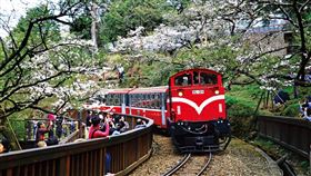 林務局：森林育樂場防疫　人潮分流管制武漢肺炎疫情延燒，林務局表示，各森林育樂場已啟動量體溫，額溫高於攝氏37.5度、耳溫高於38度，不得入園，入園人潮分流管制人數也做了調整。（林務局提供）中央社記者楊淑閔傳真　109年4月8日