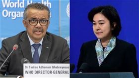 譚德賽、華春瑩