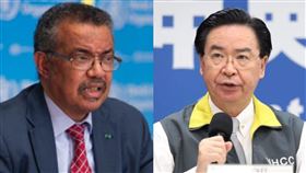 譚德塞 吳釗燮（圖／翻攝自WHO推特、資料照）