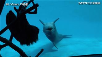 旅行樹懶遊水族館　海豚大笑學牠倒轉