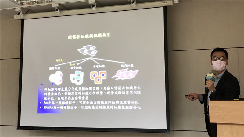 退化關節炎新療法　台灣團隊首創