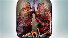 董氏基金會 pixabay