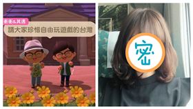 行政院長蘇貞昌跟上動森熱，讓美女前主播樂喊院長快點公布帳號想加好友。（圖／蔡季伶授權提供／翻攝行政院長蘇貞昌臉書）