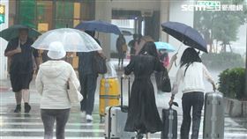 天氣,氣象,下雨,颱風,降雨,雨天,停班,停課,上班,上課,大雨,雨傘,撐傘,淋雨,強風,豪雨（示意圖／邱榮吉攝影）