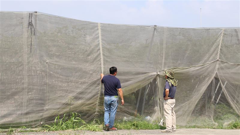 大陸冷氣團南下　農改場籲作物防寒
