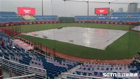 桃園棒球場現場下起大雨。（圖／記者王怡翔攝影）