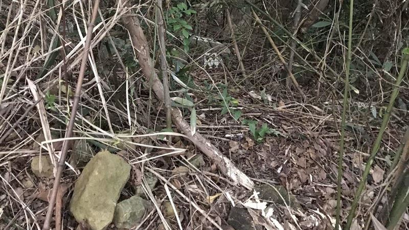 女陳屍土地公廟旁　身分為6旬獨居婦