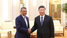瑞士媒體和專家指出，世衛在武漢肺炎疫情下高分貝稱讚中國讓人驚訝，卻冷落民主台灣，呼籲世衛與台灣保持訊息的暢通。圖為世衛秘書長譚德塞（左）1月28日在北京與中國國家主席習近平會面。（檔案照片／中新社提供）