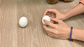 汪小姐在家立蛋。（圖／汪小姐提供）