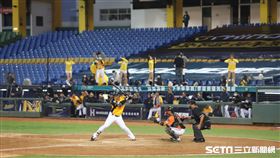 ▲中信兄弟陳子豪。（圖／記者劉彥池攝影）