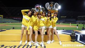 ▲中信兄弟啦啦隊峮峮。（圖／記者劉彥池攝影）