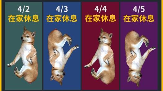 獨／衛福部「防疫總柴」萌身份大揭密