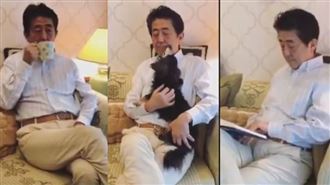 東京確診破2千　安倍喝茶玩狗被痛罵