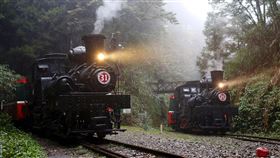 百年蒸汽火車相聚阿里山（1）慶祝阿里山鐵路通車107週年，林務局阿里山林業鐵路及文化資產管理處29日特別安排31號及25號蒸汽機車同框出現阿里山，吸引不少攝影家到場搶拍。（林鐵及文資處提供）中央社記者蔡智明傳真　108年12月29日