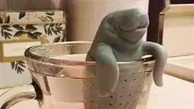 圖／翻攝自爆笑公社臉書