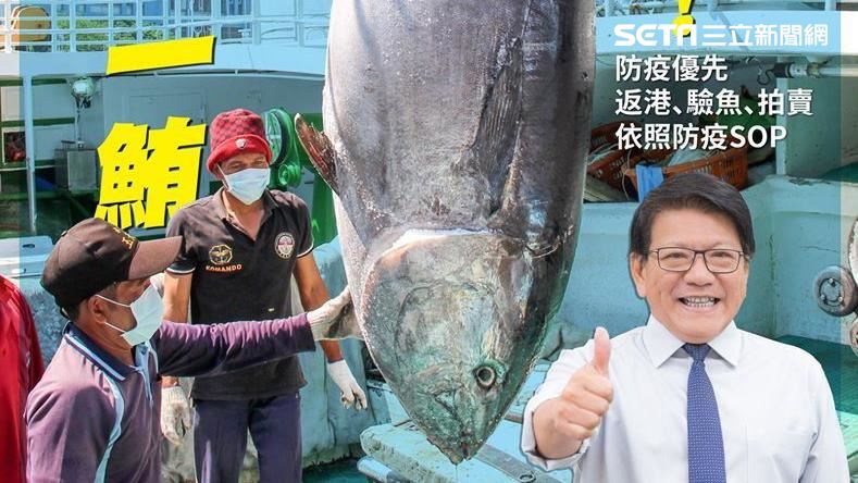 潘孟安：台灣第一鮪「驗明正身」抓到