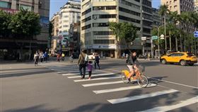 今天白天溫暖。（圖／記者陳宜加攝影）