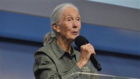 疫情大流行…珍古德也怒了！痛批亞洲野味市場：不尊重動物（圖／翻攝自Jane Goodall臉書）