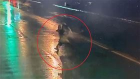 台北,萬華,隨機殺人,房仲,計程車司機（圖／翻攝畫面）