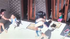 澳洲一民宅日前發生一起毒蛇驚魂記！一名媽媽準備帶著2個女兒出門，但沒想到大門一打開，牆壁邊卻突然跑出一條蛇，女兒見狀後馬上驚慌地跳開；此時媽媽秒將原先抱在手上的洗衣籃往一旁丟，一把抓起女兒、迅速將她帶離現場。畫面曝光後，不少網友大讚媽媽是地表最強物種，但也捏把冷汗直呼「真的太驚險」。（圖／翻攝自臉書）