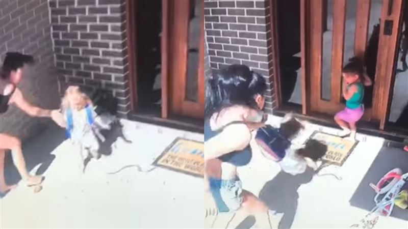 2娃險遭毒蛇咬　勇媽超神救援畫面曝