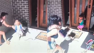 2娃險遭毒蛇咬　勇媽超神救援畫面曝