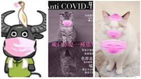 ▲內政部、農委會、海巡署粉紅口罩宣導