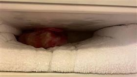 結霜,除霜,冷凍庫,小冰箱,冷媒管(翻攝自 爆系知識家)