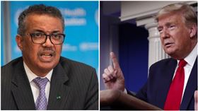  ▲川普停止贊助WHO，王丹大讚「民主國家典範」。（圖／資料照）