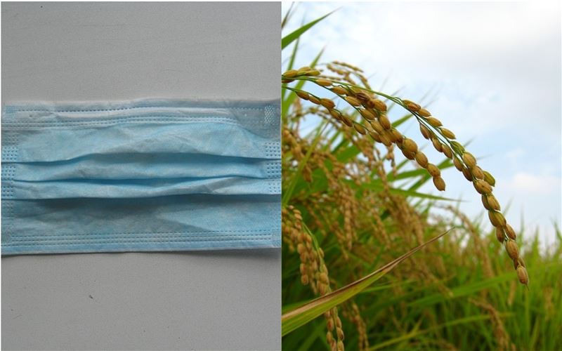 台灣最暖…口罩後這東西也計畫援外！