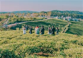 名家專用／網路溫度計（勿用）