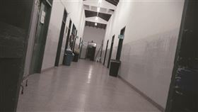 《現屍報》 可樂電影提供