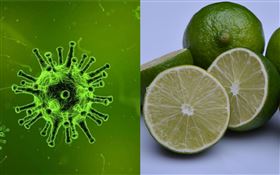 檸檬茶　病毒