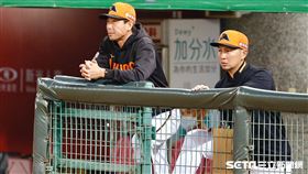 ▲統一獅隊總教練林岳平、首席教練高志綱。（圖／記者林聖凱攝影）