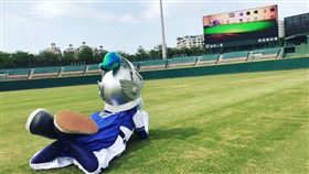 富邦悍將吉祥物富藍奇用新莊球場螢幕玩動物森友會。（圖／富邦悍將提供）