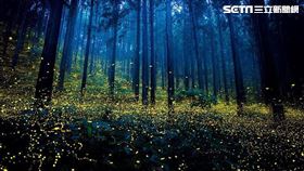 富驛酒店集團提供