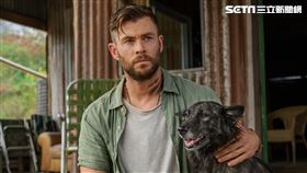  ▲克里斯漢斯沃在新作中把身材練得更壯。（圖／Netflix提供