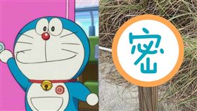 哆啦A夢,木頭,撞臉,步道,吸乾,大雄